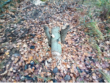 20211023 ��̣��� ��� 121609.jpg