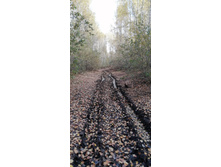 IMG 20211009 143829.jpg