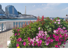 IMG 20210712 132626.jpg