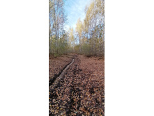 IMG 20211009 143929.jpg