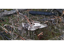 IMG 20211030 125041.jpg