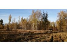 IMG 20211009 152323.jpg