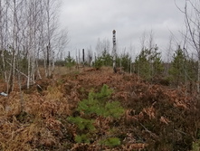 IMG 20211030 114105.jpg