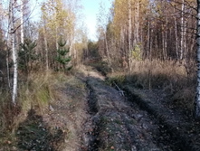 IMG 20211009 151635.jpg