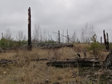 IMG 20211030 114204.jpg