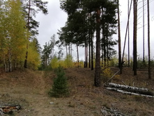 IMG 20211002 114749.jpg