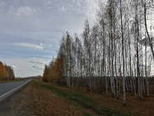 IMG 20211017 133927.jpg