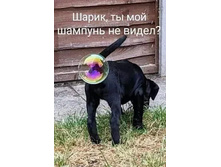 IMG 20211019 061445.jpg