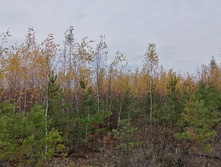 IMG 20211016 102640.jpg