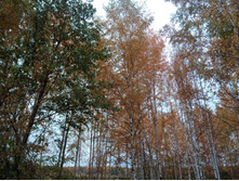 20211002 �����BikeTrip 131624.jpg