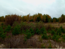 20211002 �����BikeTrip 102126.jpg