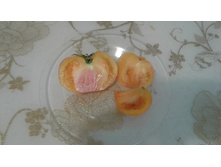 ������������ �������������