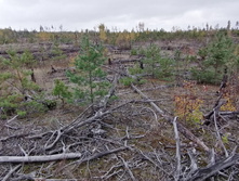 IMG 20211002 102220.jpg