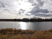 IMG 20211017 142120.jpg