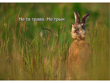 �� �� �����. �� ����.