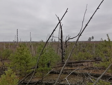 IMG 20211030 120507.jpg