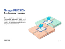 ����������� ���������� PROSON 29.jpg