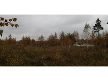 IMG 20211002 105740.jpg