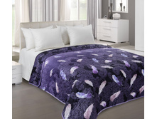 ��������� �������� «��������� 5», �����