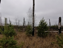 IMG 20211030 121328.jpg