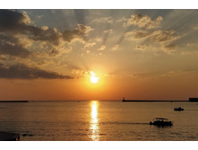 IMG 20210718 195706.jpg