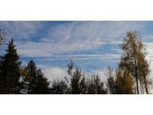 IMG 20211009 151728.jpg