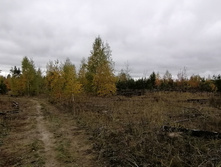 IMG 20211002 113624.jpg