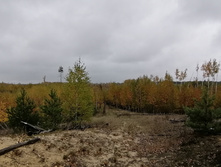 IMG 20211002 104956.jpg