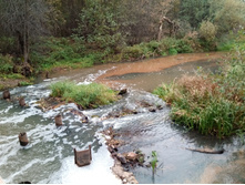 20211002 �����BikeTrip 112235.jpg