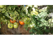 ��������� ������