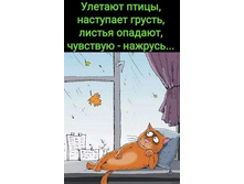 ������� �����, ��������� ������, ������ �������, ������� - ������� ...