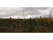 IMG 20211002 102144.jpg