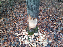 20211023 ��̣��� ��� 115652.jpg