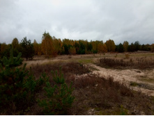 20211002 �����BikeTrip 102154.jpg