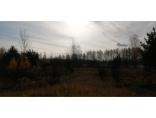 IMG 20211017 132927.jpg