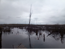 20211002 �����BikeTrip 131607.jpg