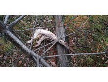 IMG 20211030 125121.jpg