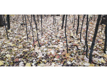 IMG 20211002 123121.jpg