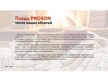 ����������� ���������� PROSON 22.jpg