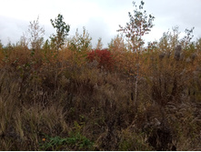 20211002 �����BikeTrip 143000.jpg