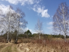 IMG 20210424 105222.jpg