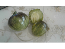 ���������� �������� ����������� VT-16