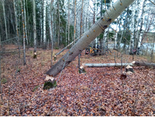 20211023 ��̣��� ��� 115728.jpg