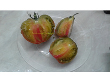 ������� �����������