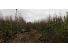 IMG 20211030 123545.jpg