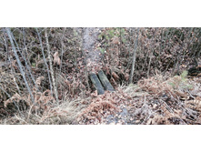 IMG 20211030 122107.jpg