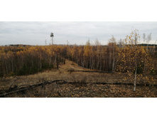 IMG 20211016 113503.jpg