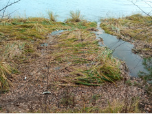 20211023 ��̣��� ��� 121622.jpg