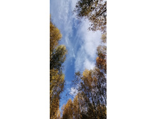 IMG 20211009 142852.jpg