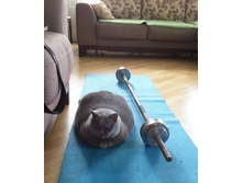 � ������������ �������� ... ���� ����� ����������